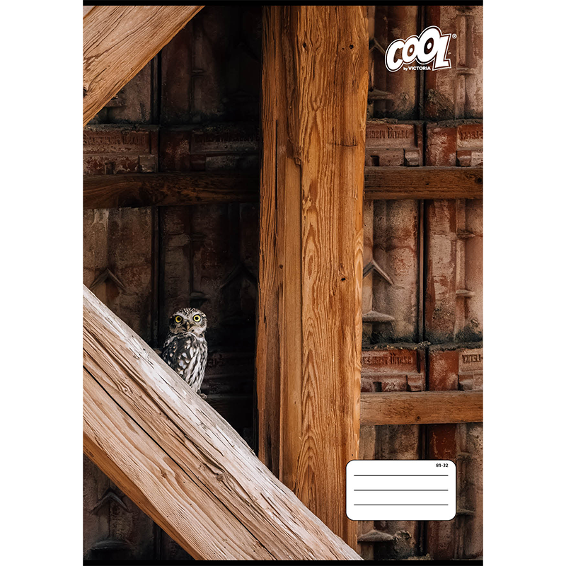 Füzet, tűzött, A4, vonalas, 32 lap, COOL BY VICTORIA "Texture", "81-32"