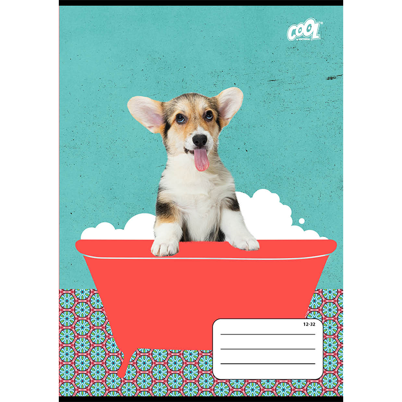 Füzet, tűzött, A5, vonalas, 32 lap, 2. osztály, COOL BY VICTORIA "Bath", "16-32"