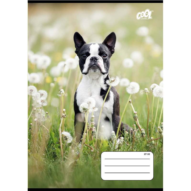 Füzet, tűzött, A5, kockás, 32 lap, COOL BY VICTORIA "B&W dogs", "27-32"