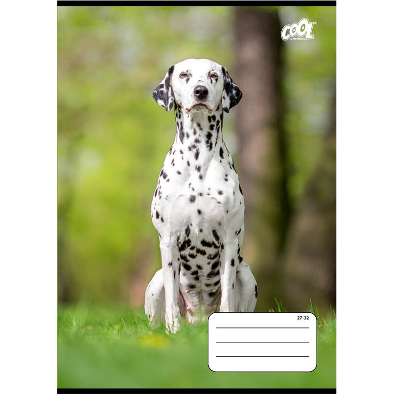 Füzet, tűzött, A5, kockás, 32 lap, COOL BY VICTORIA "B&W dogs", "27-32"