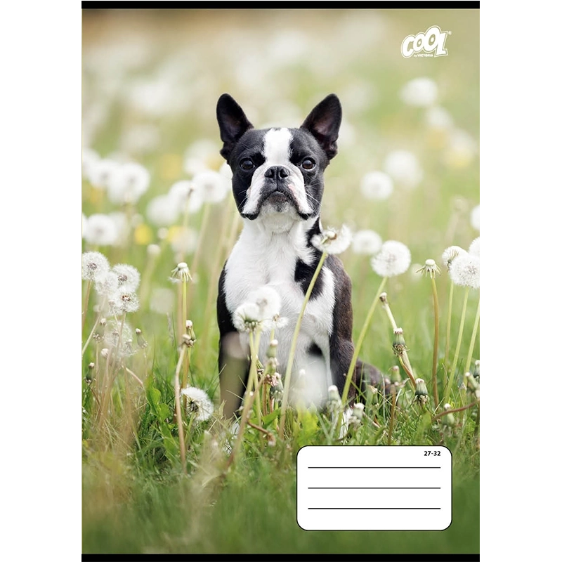 Füzet, tűzött, A5, kockás, 32 lap, COOL BY VICTORIA "B&W dogs", "27-32"