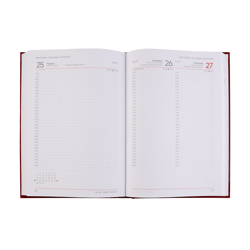 Naptár, tervező, A5, napi, VICTORIA OFFICE "Chrono", piros (2026 évi)