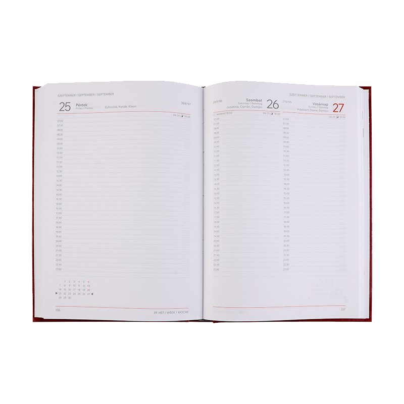 Naptár, tervező, A5, napi, VICTORIA OFFICE "Chrono", zöld (2026 évi)