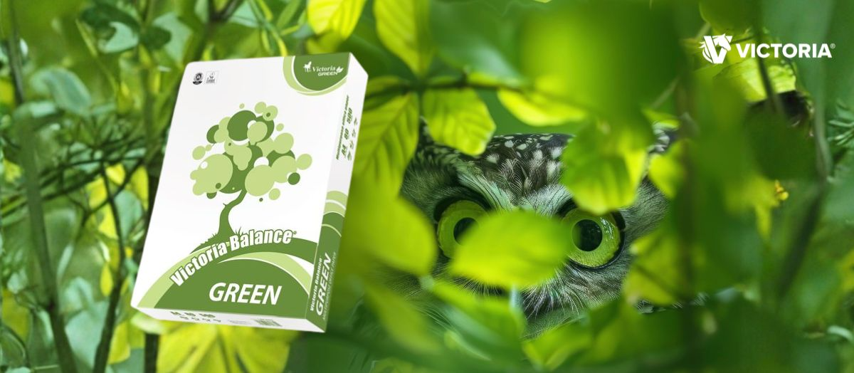 Victoria Balance Green – amikor a mindennapi papírhasználat is lehet környezettudatos döntés