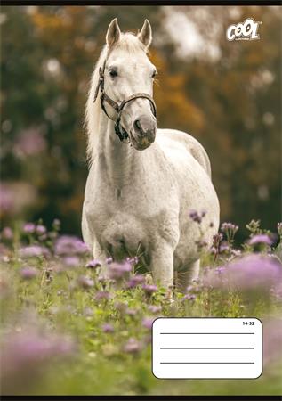 Füzet, tűzött, A5, vonalas, 32 lap, 1. osztály, COOL BY VICTORIA "Free Spirit", "14-32"