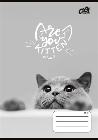 Füzet, tűzött, A5, vonalas, 32 lap, 4-8. osztály, COOL BY VICTORIA "Cats Forever", "21-32"